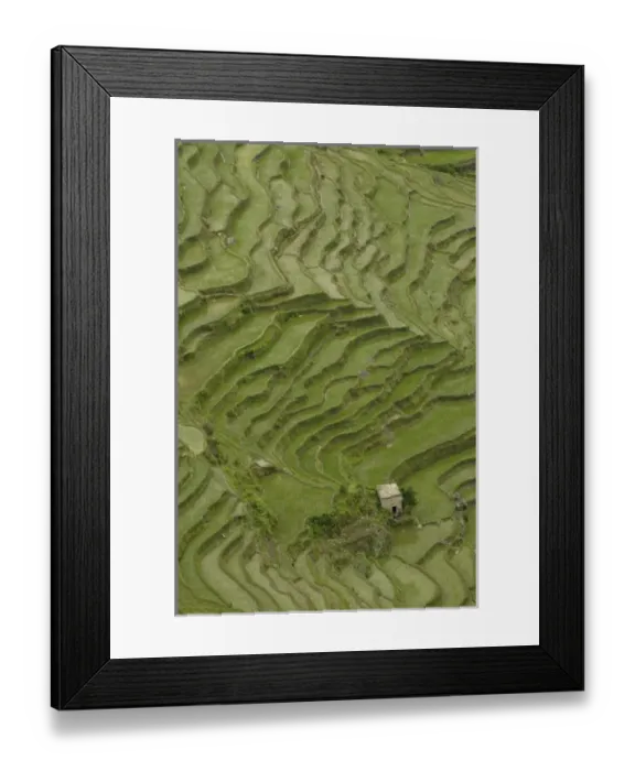 Framed Print : Asia, China