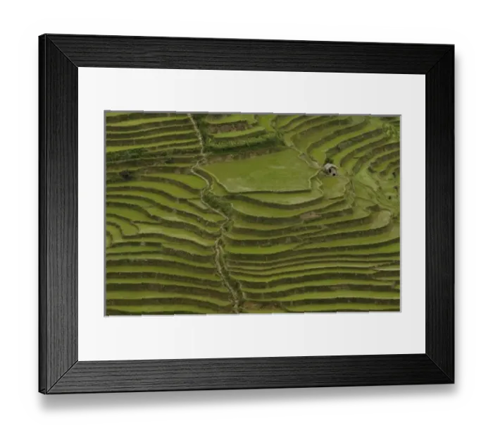 Framed Print : Asia, China