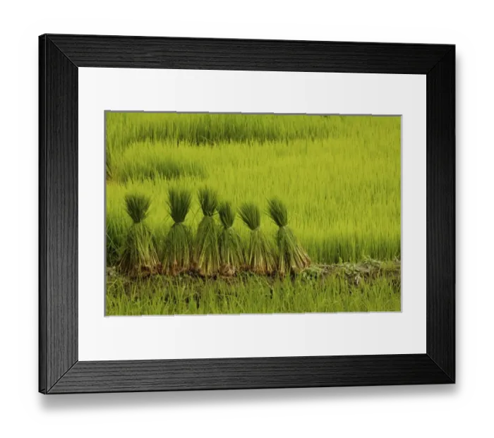 Framed Print : Asia, China