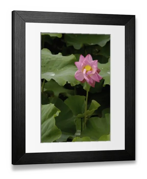 Framed Print : Asia, China