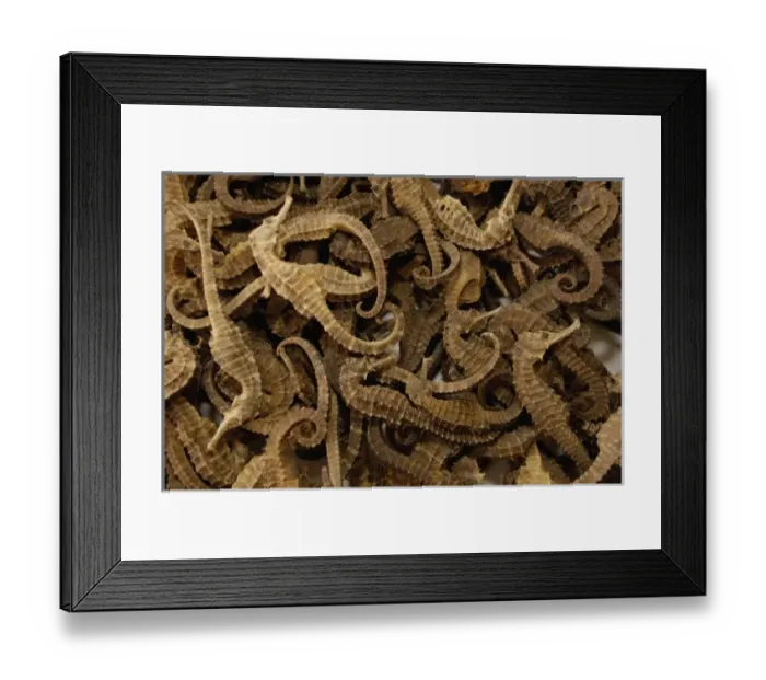 Framed Print : Kunming Traditional Medicine Market. Yunnan Province CHINA Framed Print : Kunming Traditional Medicine Market. Yunnan Province CHINA