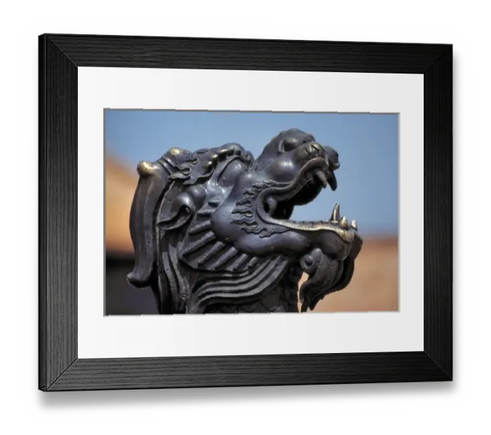Framed Print : Asia, China, Beijing. This turtles profile has the attributes of a gargoyle Framed Print : Asia, China, Beijing. This turtles profile has the attributes of a gargoyle
