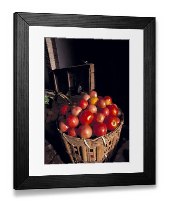 Framed Print : Asia, China, Dunhuang. Bright, red tomatoes resemble apples at the market in Dunhuang in