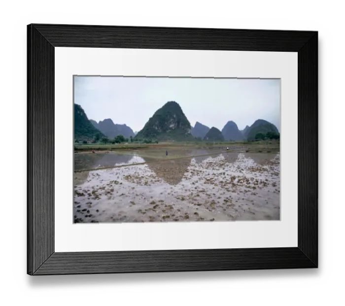 Framed Print : Asia, China, Guilin. Workers wade in the rice paddies by the Li River and the karst Framed Print : Asia, China, Guilin. Workers wade in the rice paddies by the Li River and the karst