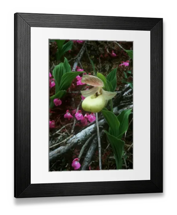 Framed Print : Asia, China Framed Print : Asia, China