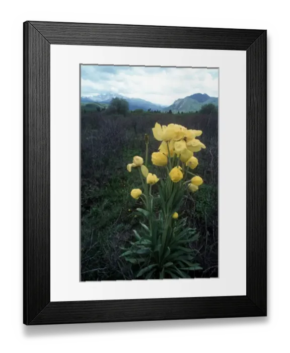 Framed Print : Asia, China