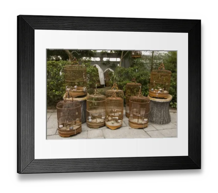 Framed Print : Bird Garden market, Mong Kok district, Kowloon, Hong Kong, China Framed Print : Bird Garden market, Mong Kok district, Kowloon, Hong Kong, China