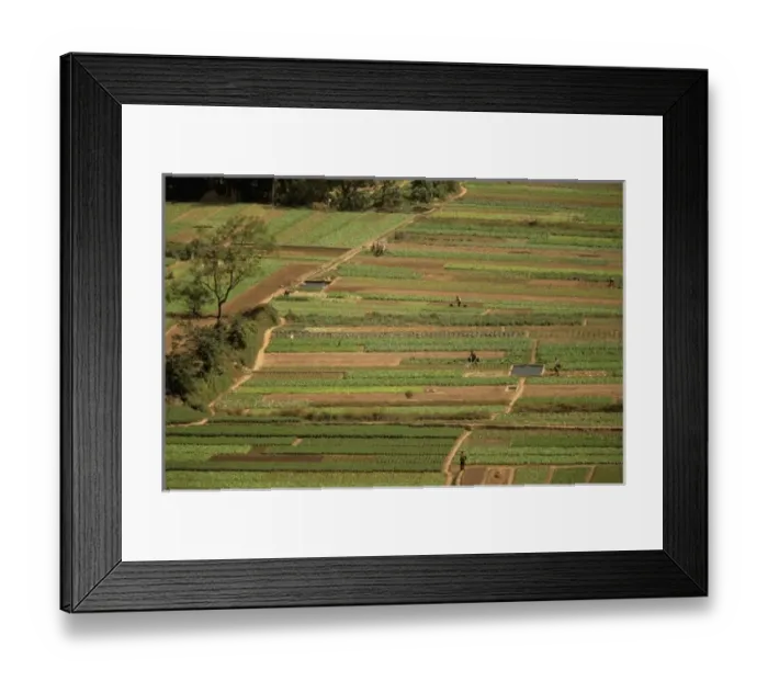 Framed Print : Asia, China Framed Print : Asia, China