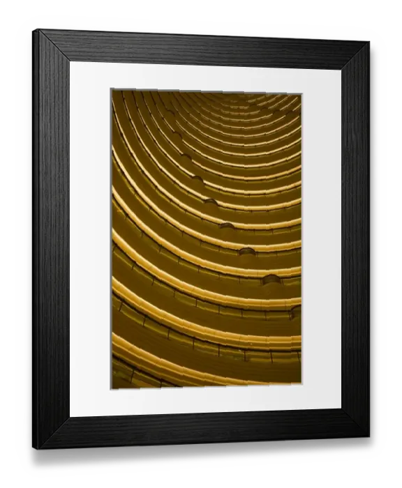 Framed Print : Asia, China