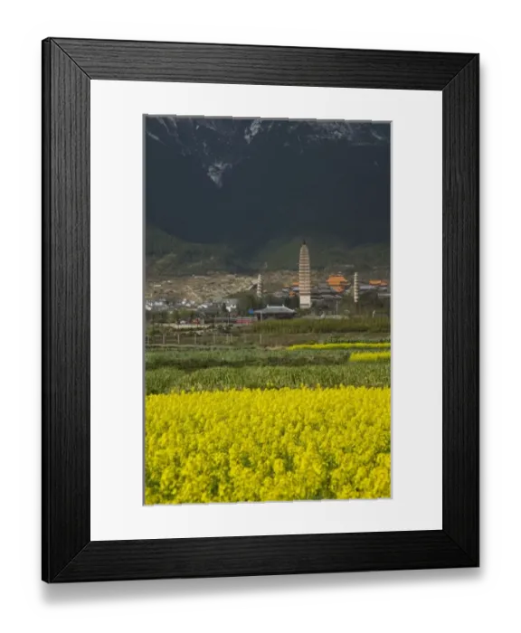 Framed Print : Asia, China