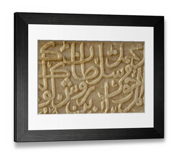 Framed Print : Asia, India