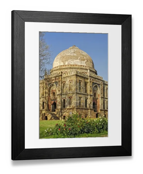 Framed Print : Asia, India Framed Print : Asia, India
