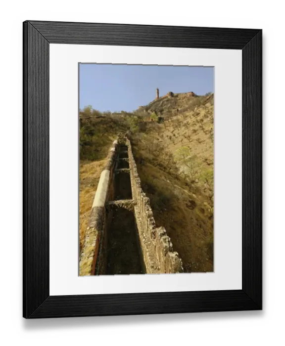 Framed Print : Asia, India