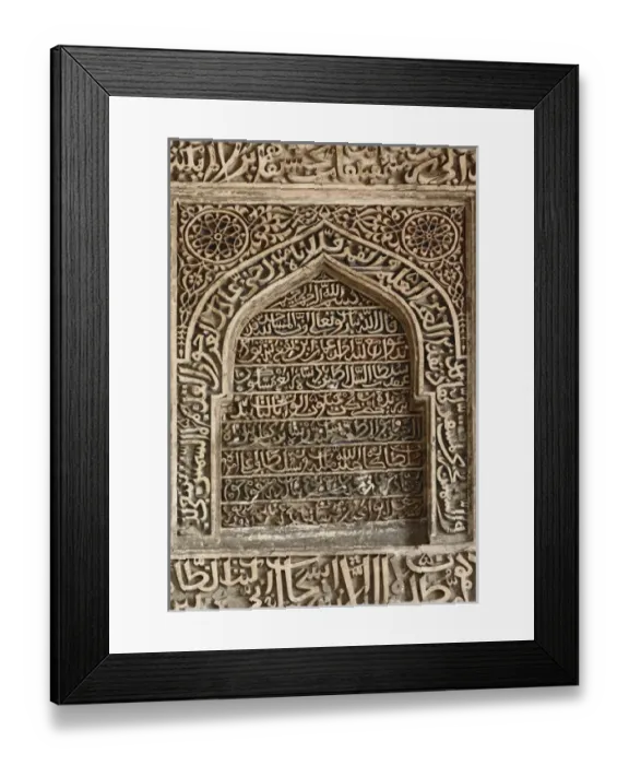 Framed Print : Asia, India Framed Print : Asia, India