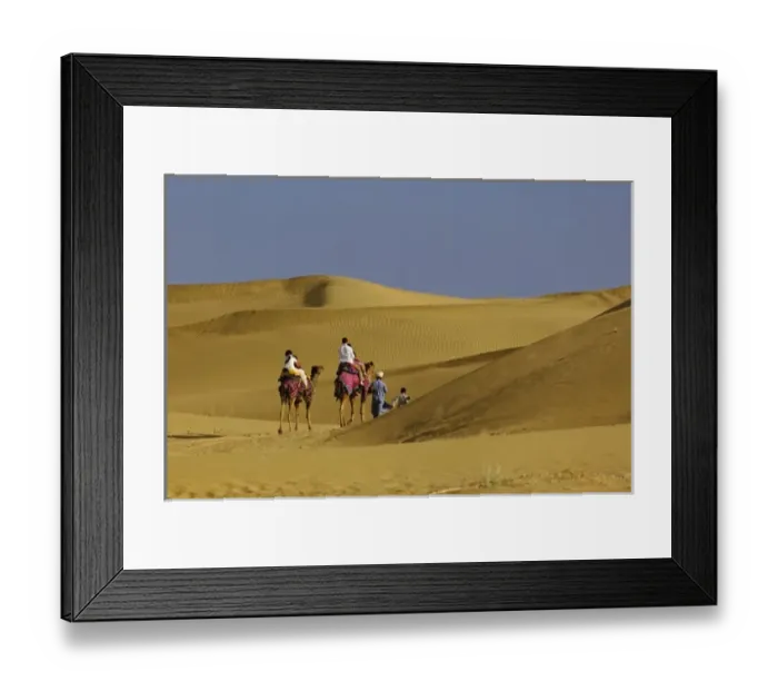 Framed Print : Tourists riding camels into Thar Desert near Jodhpur, India Framed Print : Tourists riding camels into Thar Desert near Jodhpur, India
