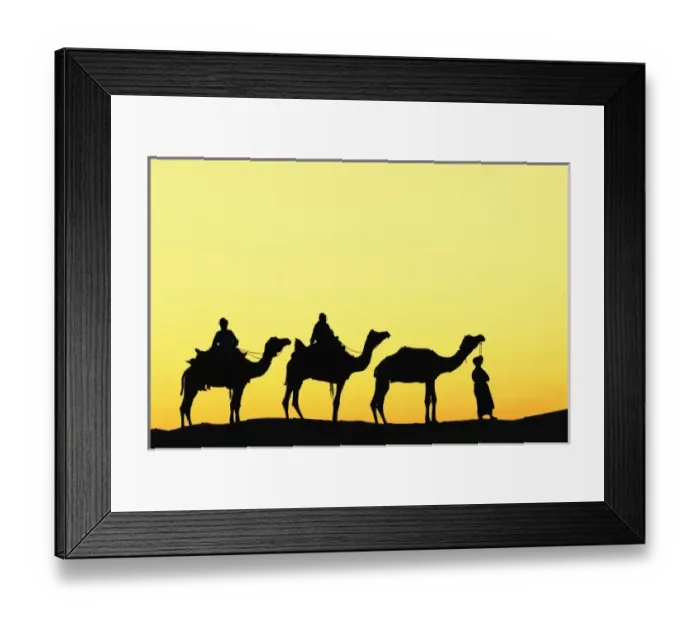 Framed Print : Camels and camel driver silhouetted at sunset, Thar Desert, Jodhpur, India Framed Print : Camels and camel driver silhouetted at sunset, Thar Desert, Jodhpur, India