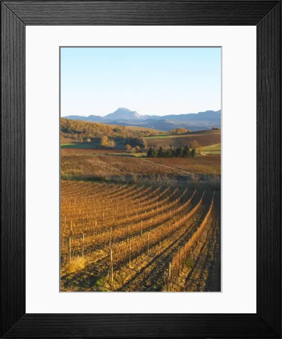 Framed Print : View over the vineyards at Conhilac de la Montagne. Peyrepertuse? Limoux. Languedoc Framed Print : View over the vineyards at Conhilac de la Montagne. Peyrepertuse? Limoux. Languedoc