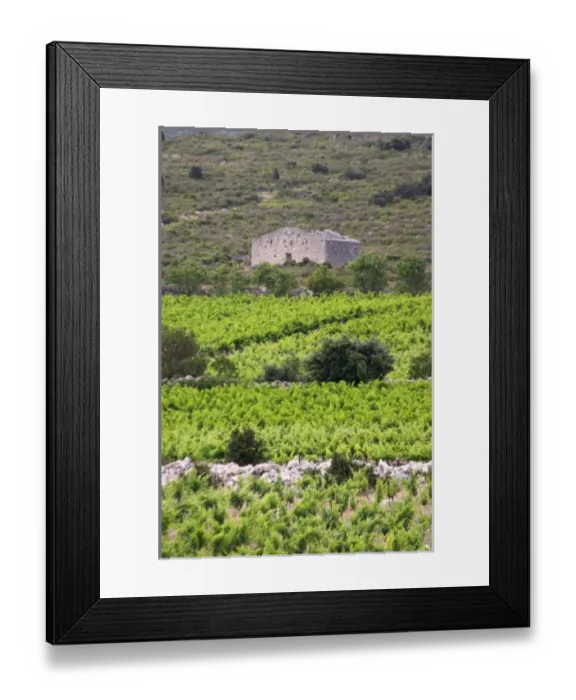 Framed Print : Europe, France Framed Print : Europe, France