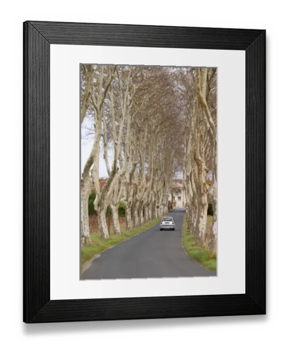 Framed Print : Europe, France Framed Print : Europe, France