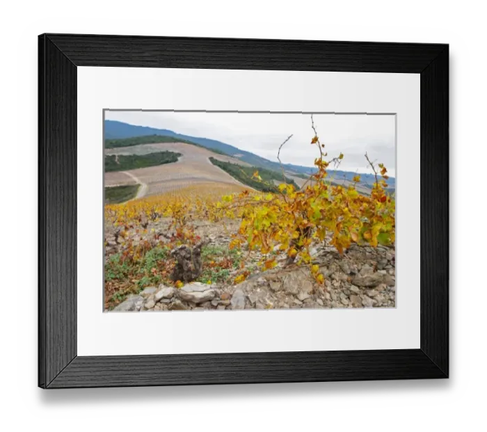 Framed Print : Europe, France Framed Print : Europe, France