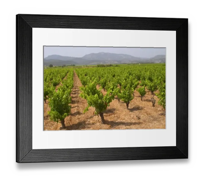 Framed Print : Europe, France