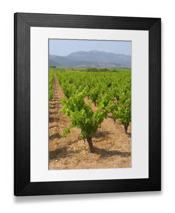Framed Print : Europe, France