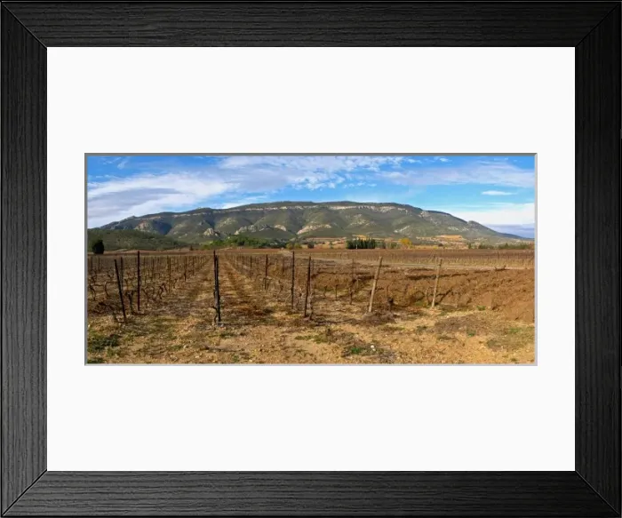 Framed Print : Domaine Bertrand-Berge In Paziols. Fitou. Languedoc. France. Europe. Vineyard. Mountains