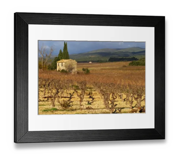 Framed Print : Chateau Villerambert-Julien near Caunes-Minervois. Minervois. Languedoc. A tool shed Framed Print : Chateau Villerambert-Julien near Caunes-Minervois. Minervois. Languedoc. A tool shed