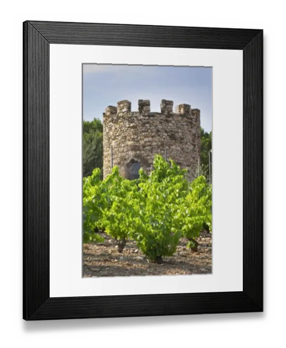 Framed Print : Europe, France Framed Print : Europe, France