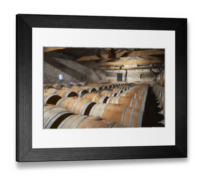Framed Print : Chateau de Lascaux, Vacquieres village. Pic St Loup. Languedoc. Barrel cellar. France