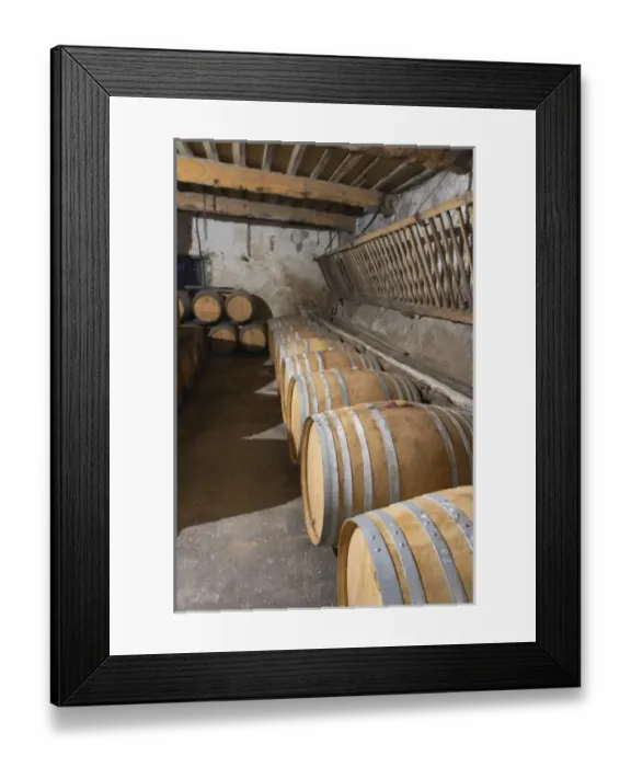Framed Print : Europe, France
