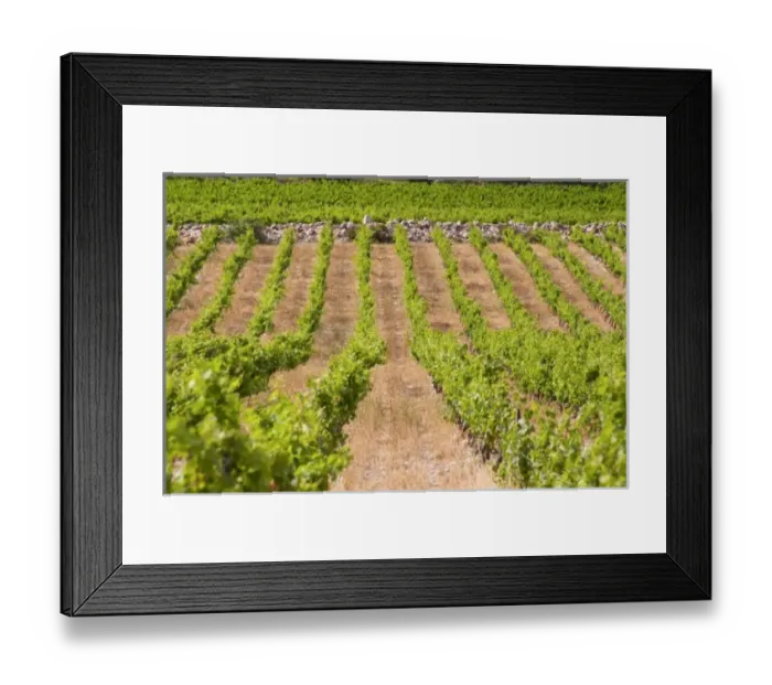 Framed Print : Europe, France Framed Print : Europe, France