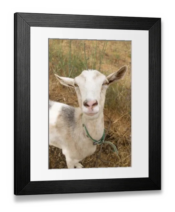 Framed Print : Europe, France Framed Print : Europe, France