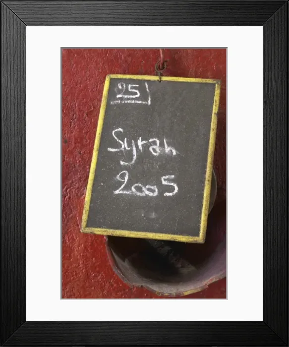 Framed Print : Syrah 2005. Chateau Villerambert-Julien near Caunes-Minervois. Minervois. Languedoc Framed Print : Syrah 2005. Chateau Villerambert-Julien near Caunes-Minervois. Minervois. Languedoc