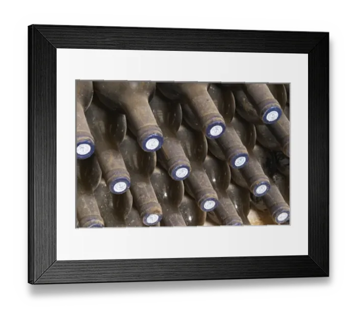 Framed Print : Chateau St Martin de la Garrigue. Languedoc. Bottle cellar. France. Europe. Bottle