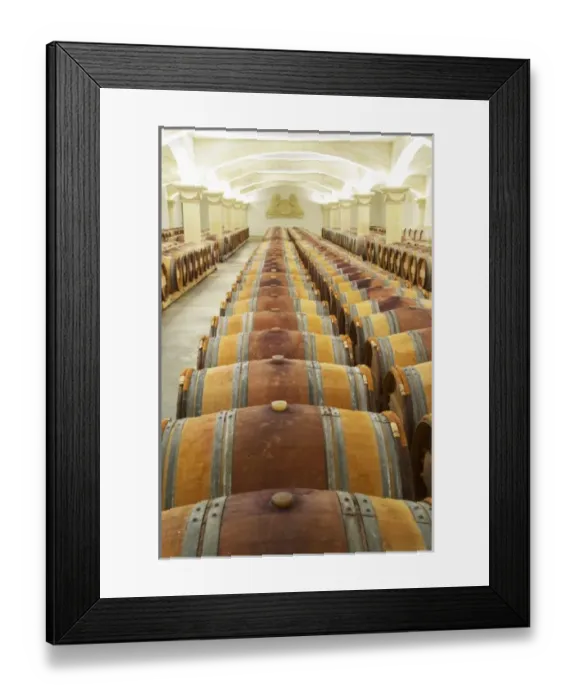 Framed Print : Europe, France