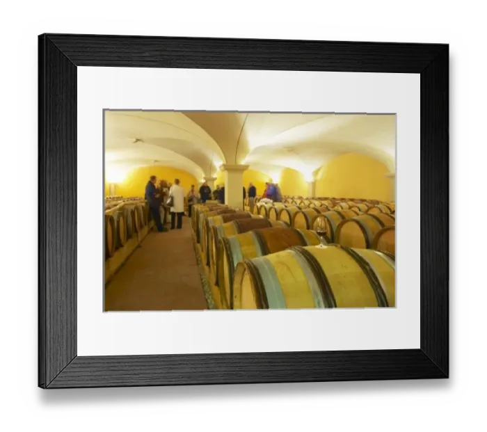 Framed Print : Europe, France