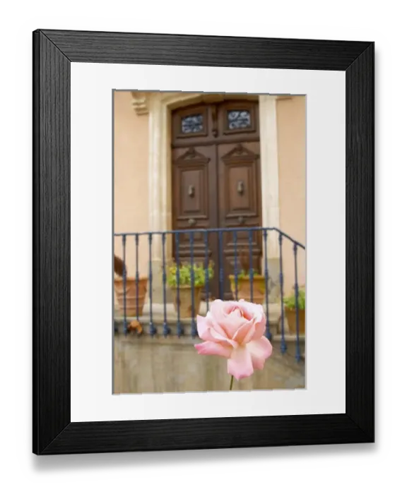 Framed Print : Europe, France