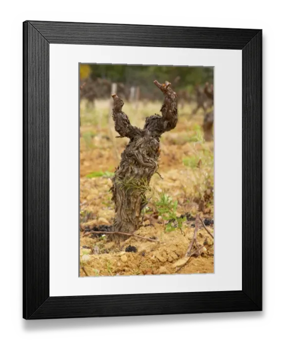 Framed Print : Europe, France Framed Print : Europe, France