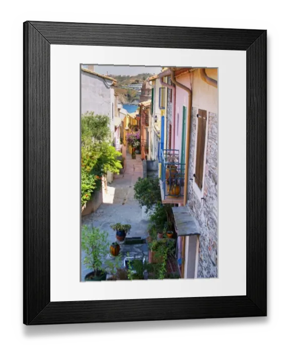 Framed Print : A narrow street in the old town. Collioure. Roussillon. France. Europe. Colourful houses
