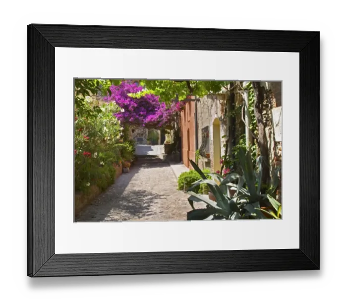 Framed Print : Europe, France Framed Print : Europe, France
