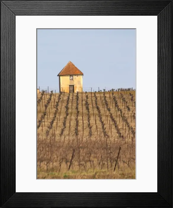 Framed Print : A hut called such as is called Gabinele. Domaine Mas Gabinele. Faugeres. Languedoc