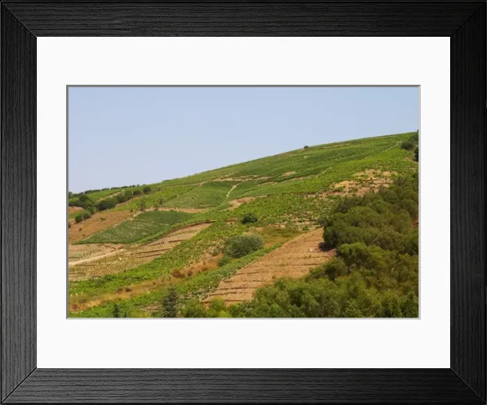 Framed Print : Banyuls-sur-Mer. Roussillon Framed Print : Banyuls-sur-Mer. Roussillon