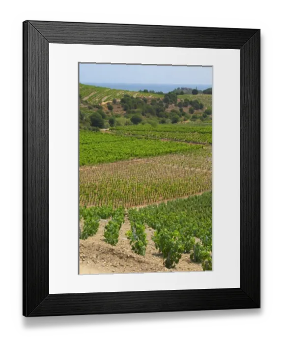 Framed Print : Europe, France Framed Print : Europe, France