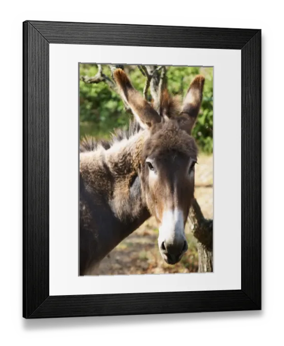 Framed Print : Europe, France