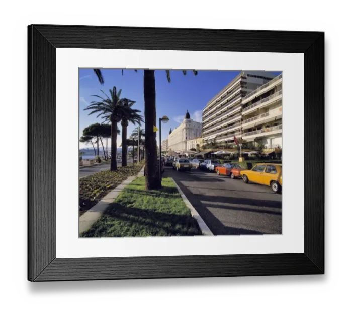 Framed Print : Europe, France, Cannes. Palm trees line the famed Boulevard de la Croisette in Cannes Framed Print : Europe, France, Cannes. Palm trees line the famed Boulevard de la Croisette in Cannes
