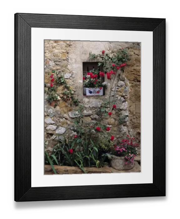 Framed Print : Europe, France, Lourmarin. Flowers decorate a rock wall in Lourmarin, Provence, France Framed Print : Europe, France, Lourmarin. Flowers decorate a rock wall in Lourmarin, Provence, France