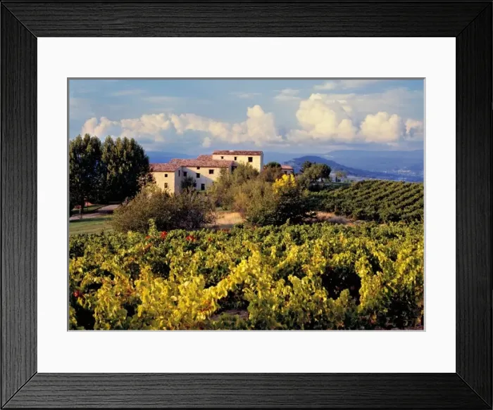 Framed Print : Europe, France Framed Print : Europe, France