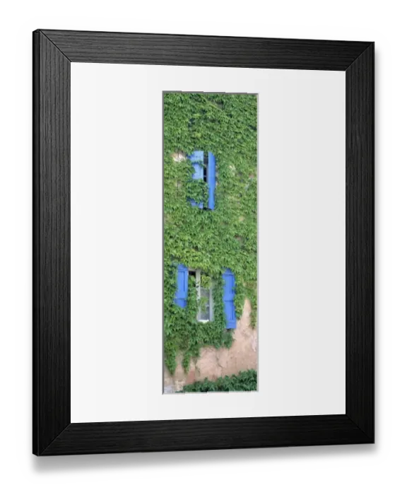 Framed Print : Europe, France, Bonnieux. Ivy covers the walls of an old home in Bonnieux in Provence