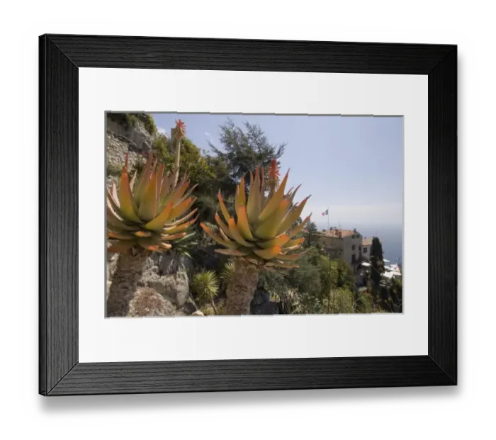Framed Print : Botanic garden, Eze-Village, Cote d Azur, France Framed Print : Botanic garden, Eze-Village, Cote d Azur, France